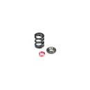 TLR HD Slipper Spring Set, SHDS - TLR232083