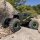 Axial AX24 XC-1, 1/24th 4WS Crawler Brushed RTR, Green - AXI00003T1