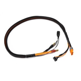 Spektrum Pro Series Race 4s Charge Cable: IC3/5mm 2 - SPMXCA330